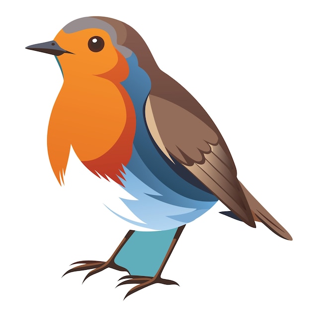 Vector de colores del pájaro Robin