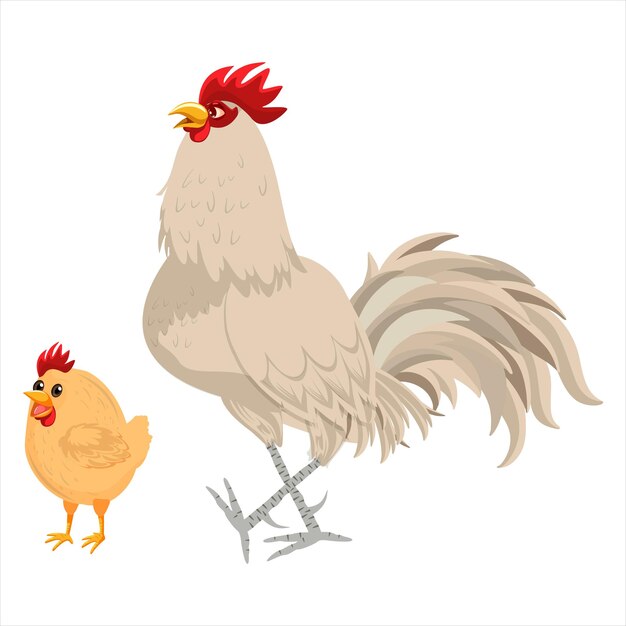 Vector colorido del pollo