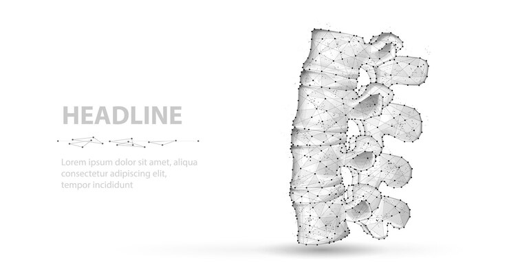El vector de la columna vertebral 3D aislado en la cirugía ortopédica de la médula espinal de la atención quiropráctica blanca
