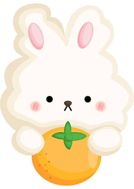 un vector de conejo abrazando una naranja