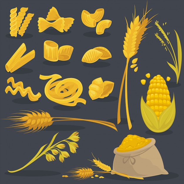 Vector conjunto de alimentos de trigo. Cocina italiana.