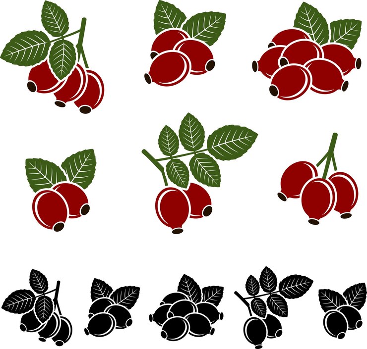 Vector vector conjunto de brezo
