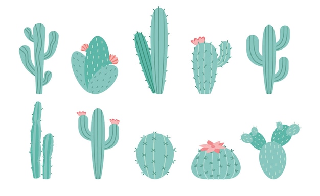 Vector conjunto de cactus aislado sobre fondo blanco eps 10