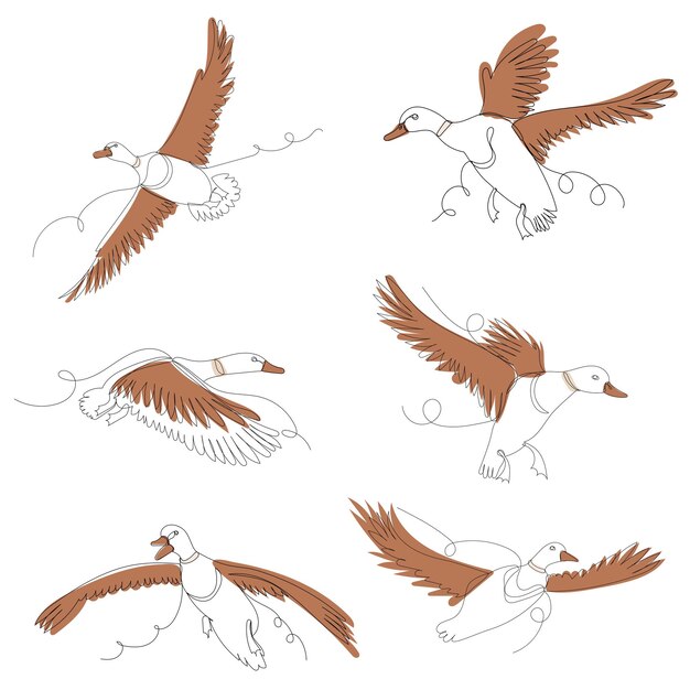 Vector de conjunto de contorno de una línea de patos voladores