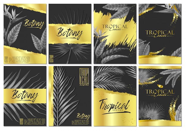 vector conjunto exóticas hojas tropicales invitación tarjeta