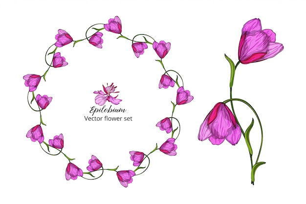 Vector conjunto de flores, con delicadas flores rosas