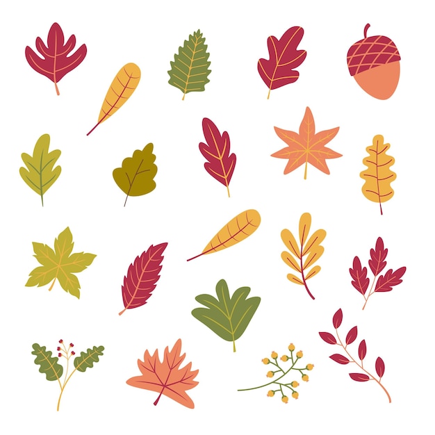 Vector de conjunto de hojas de otoño