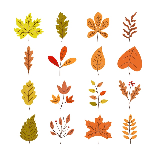 Vector de conjunto de hojas de otoño