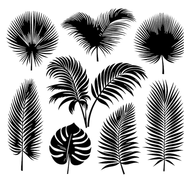 Vector conjunto de hojas tropicales con un estilo de silueta simple y fondo blanco