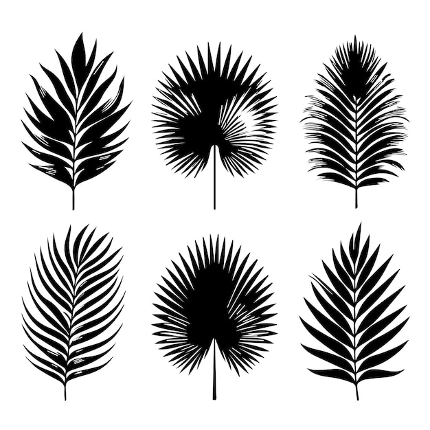 Vector conjunto de hojas tropicales con un estilo de silueta simple y fondo blanco