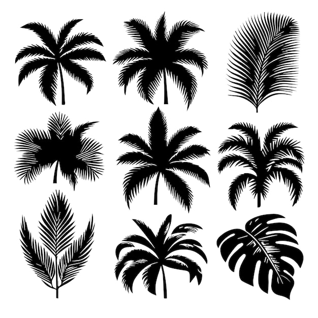 Vector conjunto de hojas tropicales con un estilo de silueta simple y fondo blanco