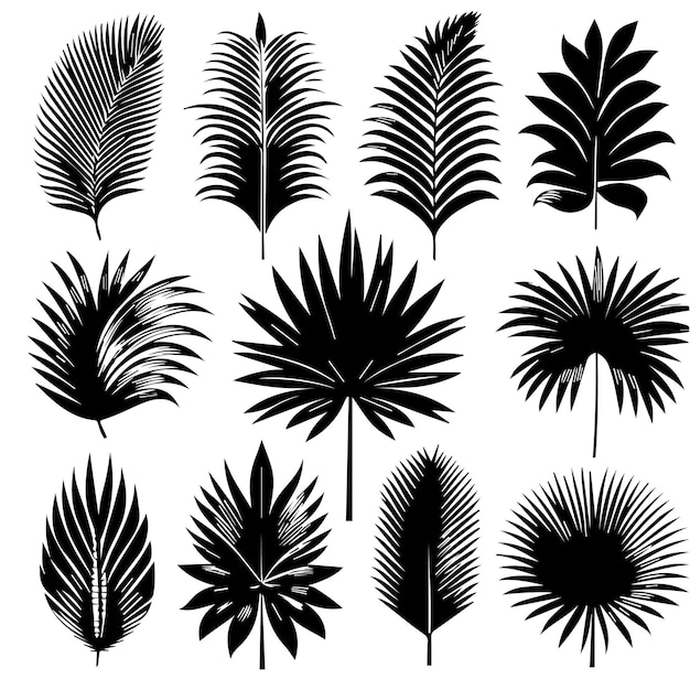 Vector conjunto de hojas tropicales con un estilo de silueta simple y fondo blanco