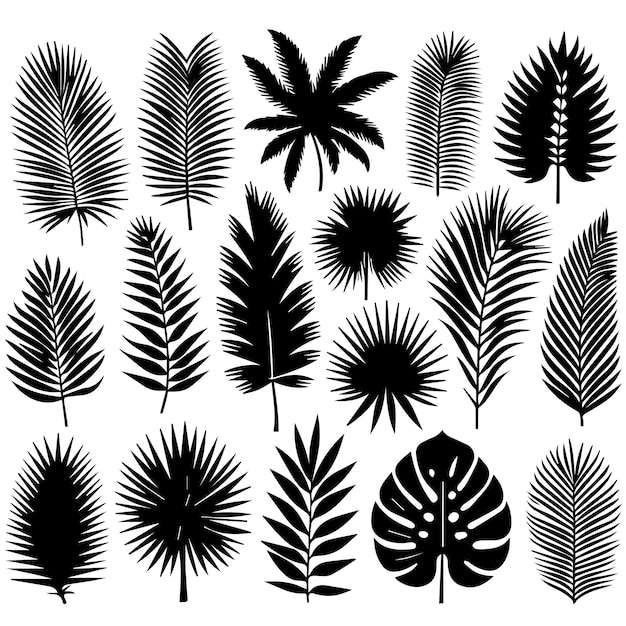 Vector conjunto de hojas tropicales con un estilo de silueta simple y fondo blanco