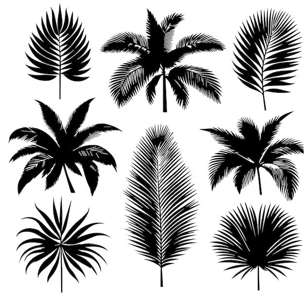 Vector conjunto de hojas tropicales con un estilo de silueta simple y fondo blanco