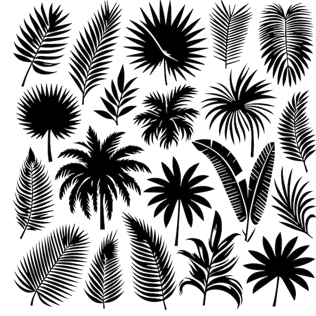 Vector conjunto de hojas tropicales con un estilo de silueta simple y fondo blanco