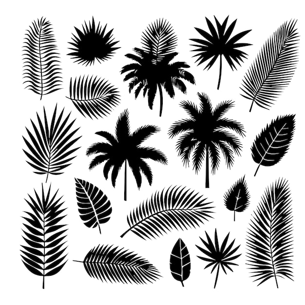 Vector conjunto de hojas tropicales con un estilo de silueta simple y fondo blanco