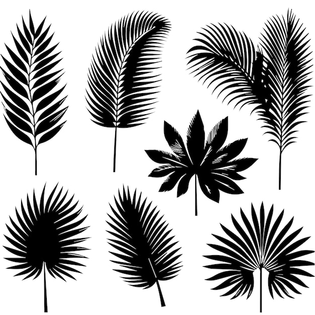 Vector conjunto de hojas tropicales con un estilo de silueta simple y fondo blanco