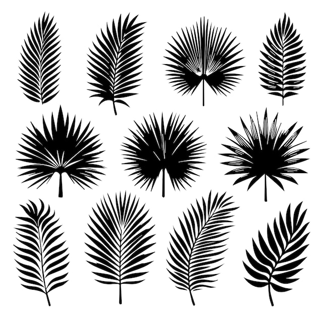 Vector conjunto de hojas tropicales con un estilo de silueta simple y fondo blanco