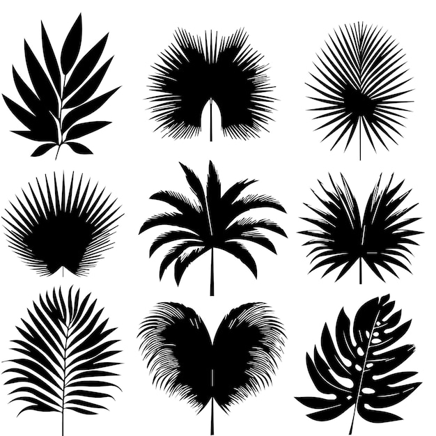 Vector conjunto de hojas tropicales con un estilo de silueta simple y fondo blanco