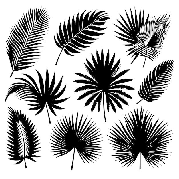 Vector conjunto de hojas tropicales con un estilo de silueta simple y fondo blanco