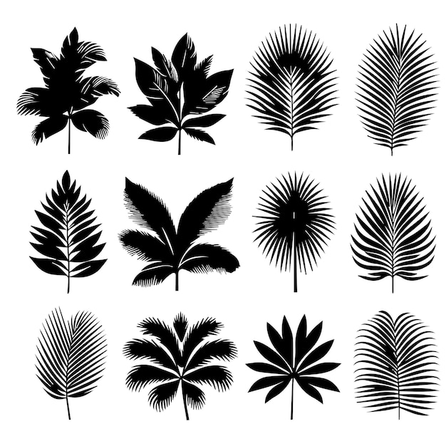 Vector conjunto de hojas tropicales con un estilo de silueta simple y fondo blanco
