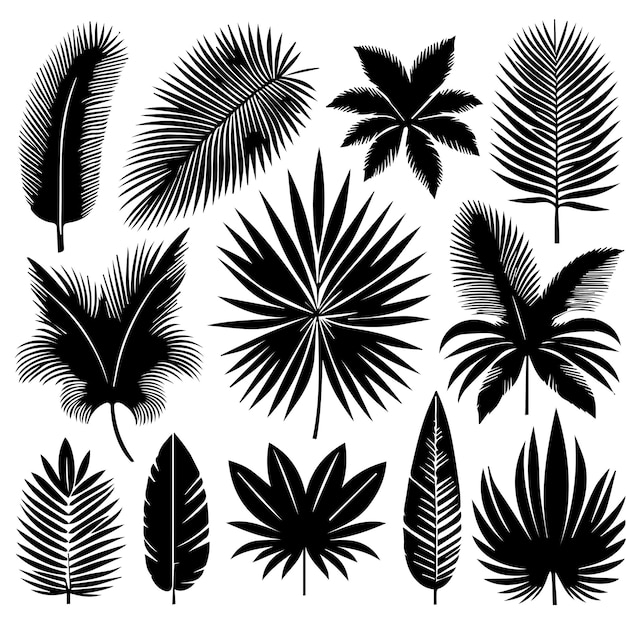 Vector conjunto de hojas tropicales con un estilo de silueta simple y fondo blanco