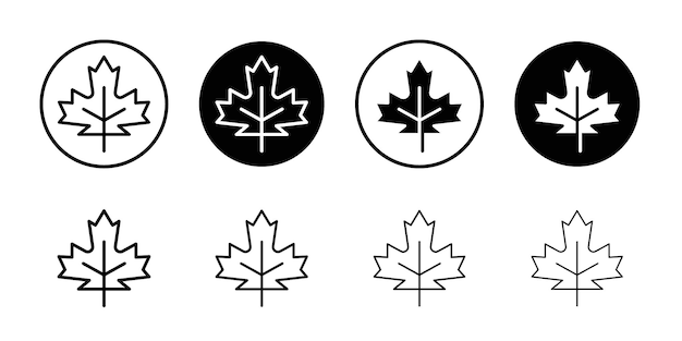 Vector del conjunto de iconos de la hoja de arce