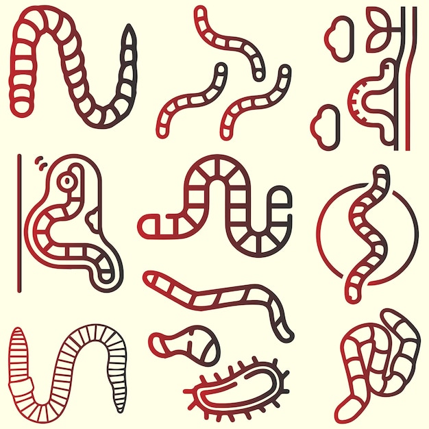 Vector de conjunto de logotipos o iconos de insectos gusano