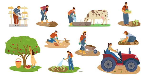 Vector conjunto de mujeres agricultoras trabajando. Cosechar, excavar, regar, alimentar al ganado, hacer queso, conducir un tractor.