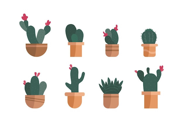 Vector conjunto de plantas en maceta Maceta de colección de cactus vector dibujado a mano sobre el fondo blanco