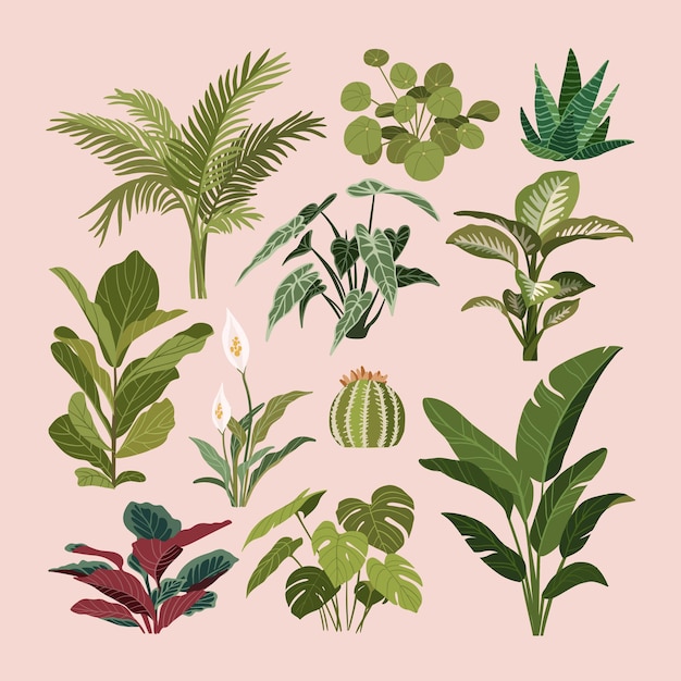 Vector de conjunto de plantas