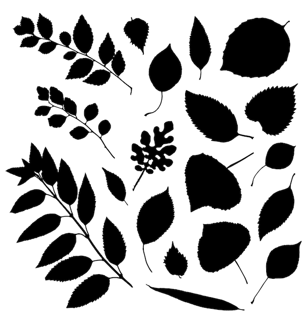Vector conjunto de silueta de hojas