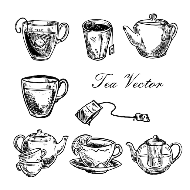 Vector vector de conjunto de té