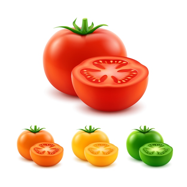 Vector conjunto de tomates enteros cortados frescos verdes amarillos prange rojos maduros grandes en blanco