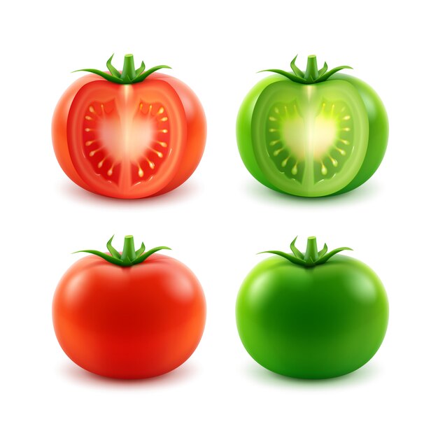 Vector conjunto de tomates enteros cortados frescos verdes rojos maduros grandes en blanco