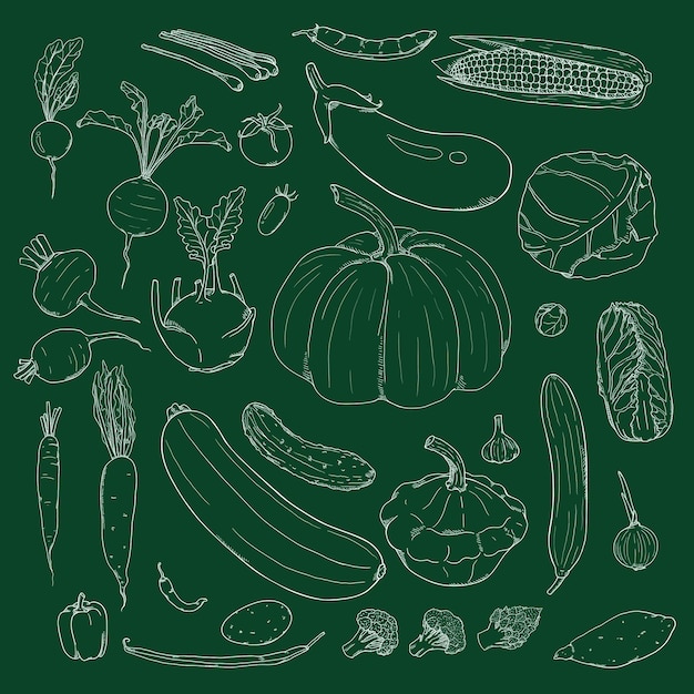 Vector conjunto de verduras de dibujo de tiza dibujadas a mano
