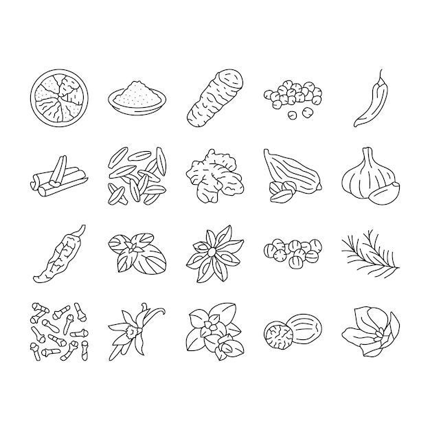Vector de conjuntos de iconos de hojas de hierbas de especias