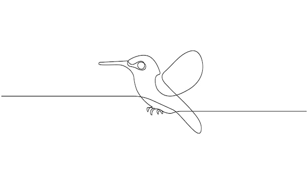 Vector continuo un simple dibujo de línea abstracta de un colibrí aislado sobre un fondo blanco