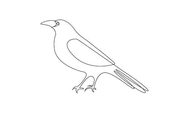 Vector continuo un simple dibujo de línea abstracta de pájaro cuervo en silueta aislado en un blanco