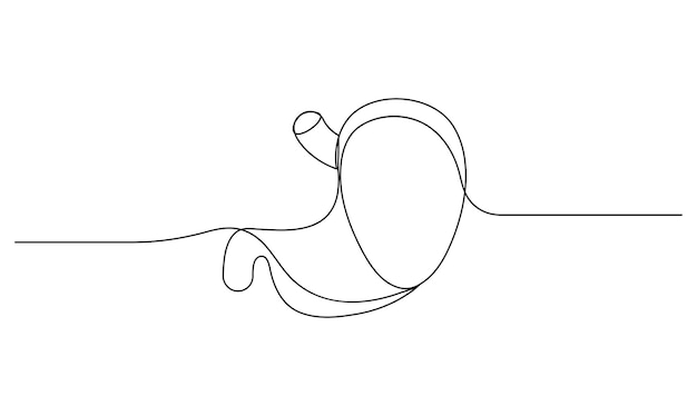 Vector continuo un simple dibujo de una sola línea abstracta del estómago humano anatómico aislado en wh