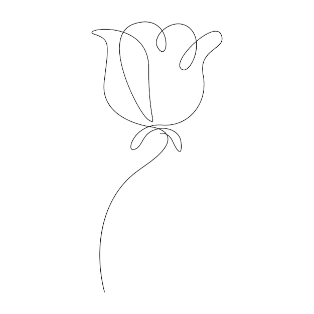 Vector continuo un simple dibujo de una sola línea abstracta de la flor de rosa aislada en un fondo blanco