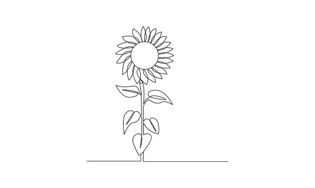 Vector continuo un simple dibujo de una sola línea abstracta de flor de sol aislada sobre un fondo blanco