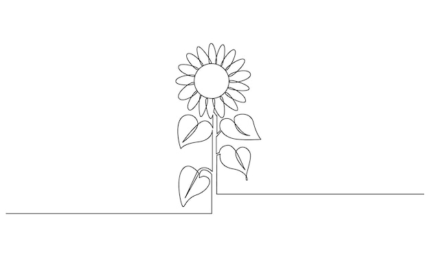 Vector continuo un simple dibujo de una sola línea abstracta de flor de sol aislada sobre un fondo blanco