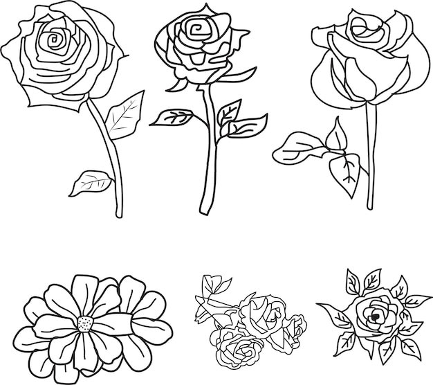 Vector de contorno de la flor de la rosa