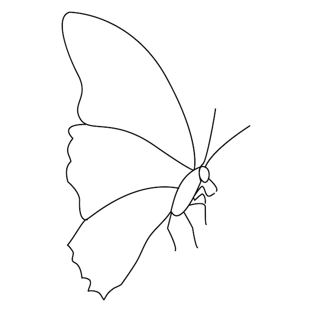 Vector de contorno de mariposa de una línea continua aislado en fondo blanco Ilustración vectorial