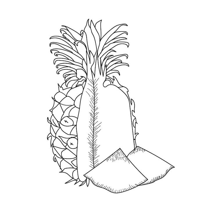 Vector de contorno de piña para colorear libros, ilustración de vector de pictograma de estilo lineal.