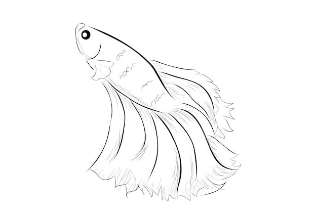 Vector de contorno simple Betta o pez luchador siamés media luna gigante sobre fondo blanco
