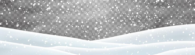 Vector vector copos de nieve nieve y tormenta de nieve