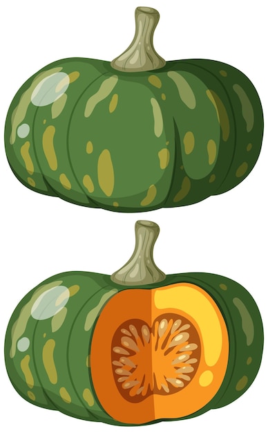 Vector vector de corte de calabaza sobre fondo blanco