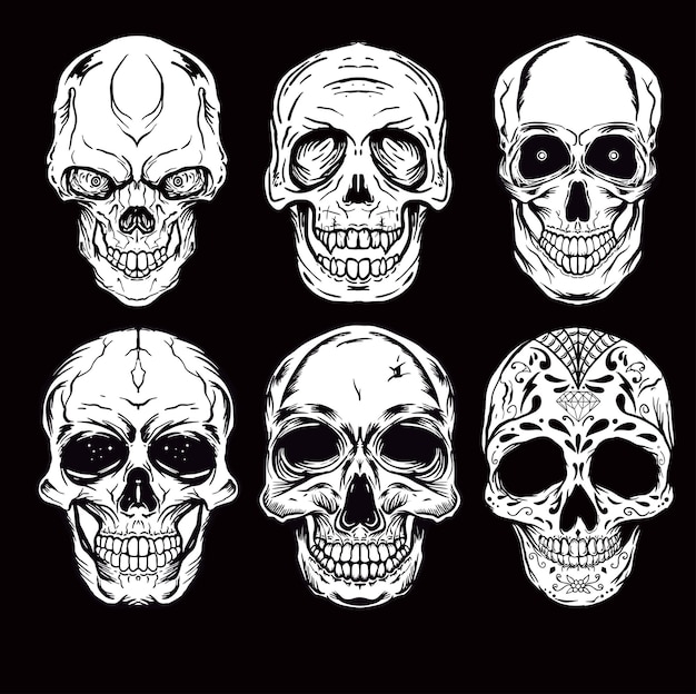 Vector de cráneo humano aislado